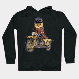 Cat riding motorcycle Hoodie